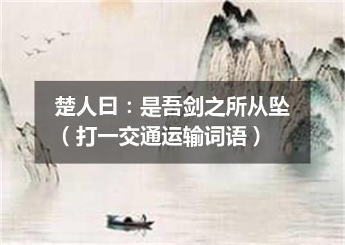 楚人曰：是吾剑之所从坠（打一交通运输词语）