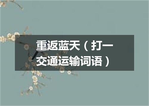 重返蓝天（打一交通运输词语）