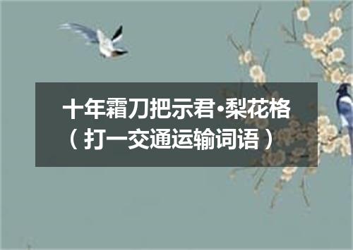 十年霜刀把示君·梨花格（打一交通运输词语）