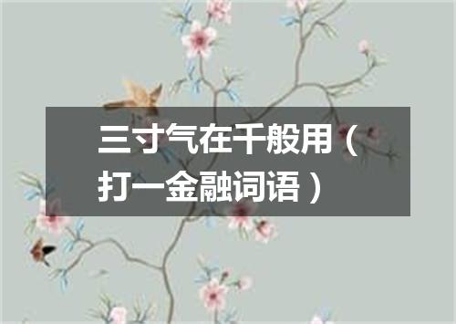 三寸气在千般用（打一金融词语）