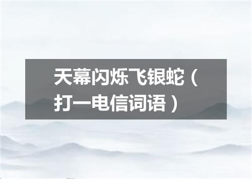 天幕闪烁飞银蛇（打一电信词语）