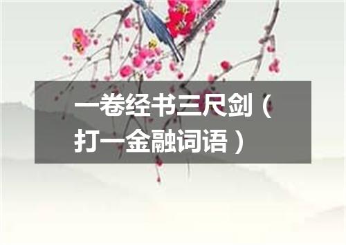 一卷经书三尺剑（打一金融词语）