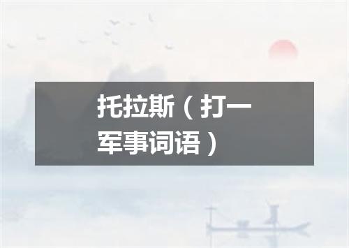 托拉斯（打一军事词语）
