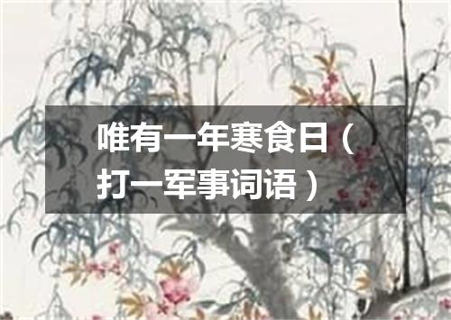 唯有一年寒食日（打一军事词语）