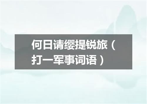何日请缨提锐旅（打一军事词语）