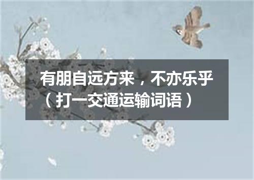 有朋自远方来，不亦乐乎（打一交通运输词语）
