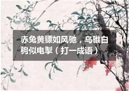 赤兔黄骠如风驰，乌骓白驹似电掣（打一成语）
