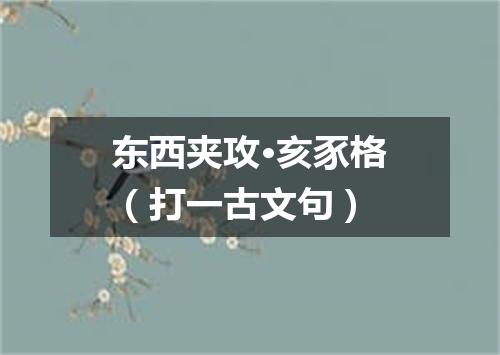 东西夹攻·亥豕格（打一古文句）