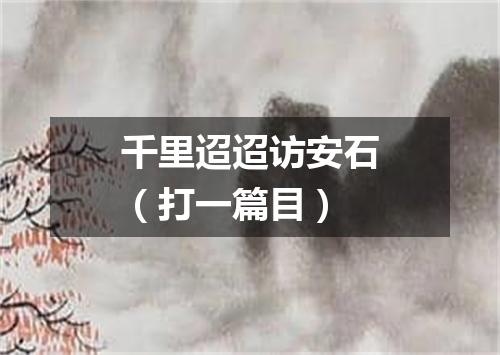 千里迢迢访安石（打一篇目）