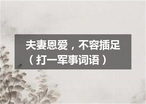 夫妻恩爱，不容插足（打一军事词语）