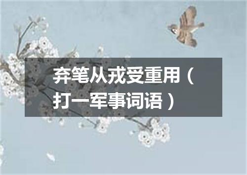 弃笔从戎受重用（打一军事词语）