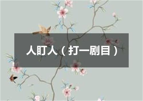 人盯人（打一剧目）