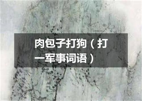 肉包子打狗（打一军事词语）