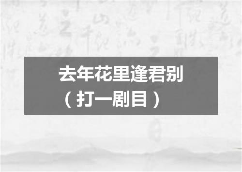 去年花里逢君别（打一剧目）