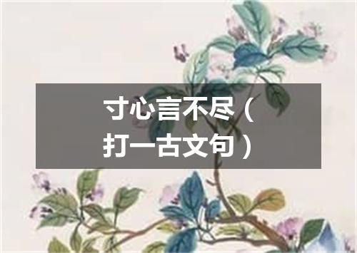 寸心言不尽（打一古文句）