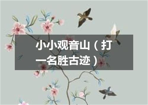 小小观音山（打一名胜古迹）