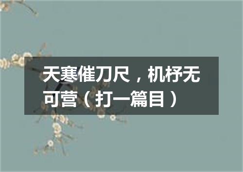 天寒催刀尺，机杼无可营（打一篇目）