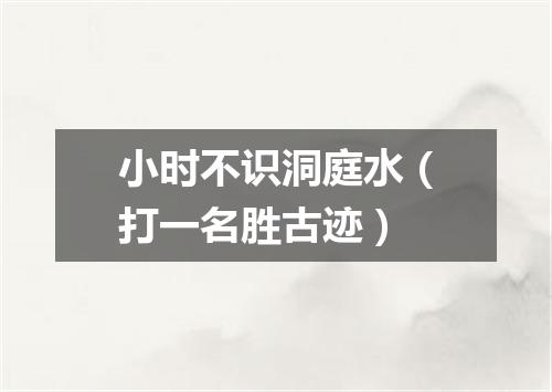 小时不识洞庭水（打一名胜古迹）