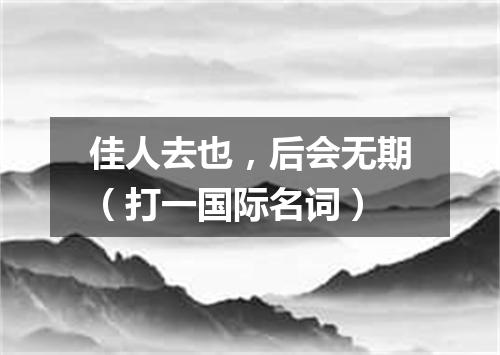 佳人去也，后会无期（打一国际名词）