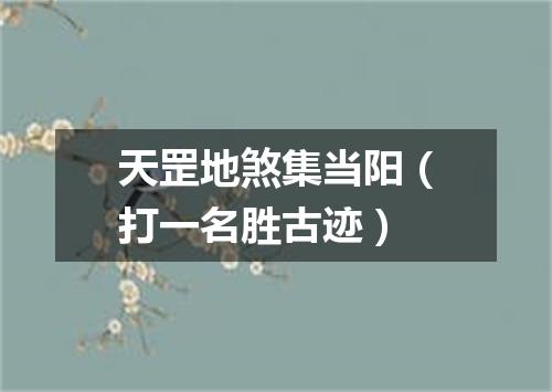 天罡地煞集当阳（打一名胜古迹）