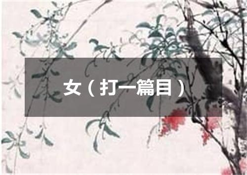 女（打一篇目）