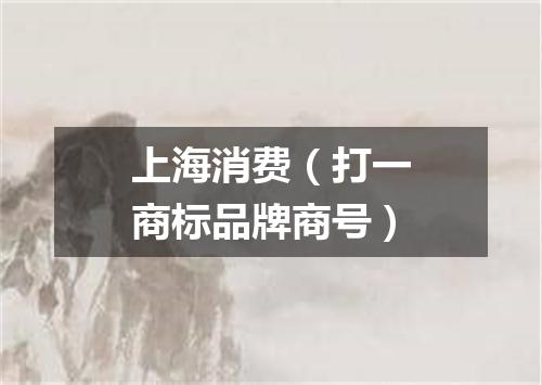 上海消费（打一商标品牌商号）