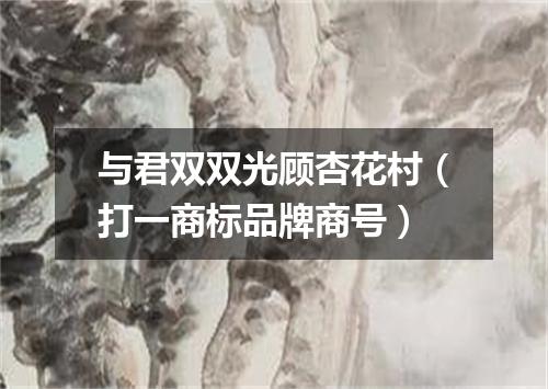 与君双双光顾杏花村（打一商标品牌商号）