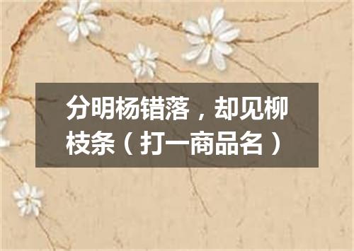 分明杨错落，却见柳枝条（打一商品名）