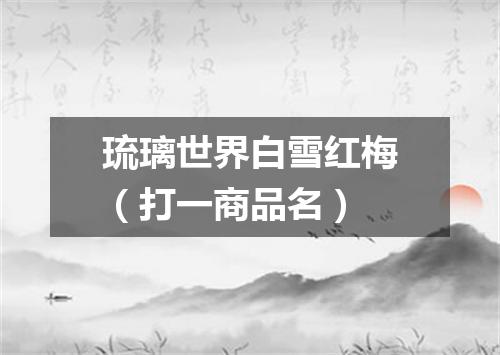琉璃世界白雪红梅（打一商品名）