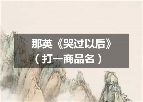 那英《哭过以后》（打一商品名）