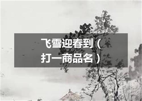 飞雪迎春到（打一商品名）