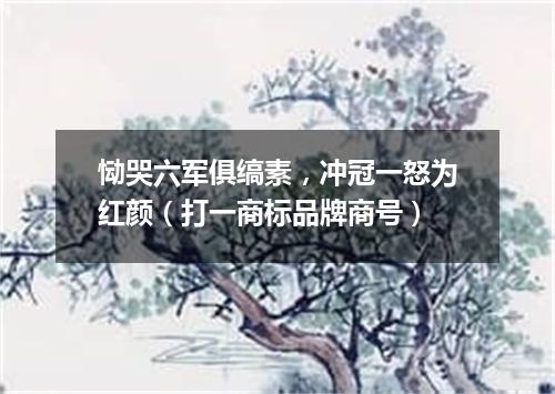 恸哭六军俱缟素，冲冠一怒为红颜（打一商标品牌商号）