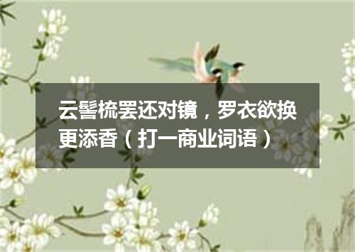 云髻梳罢还对镜，罗衣欲换更添香（打一商业词语）