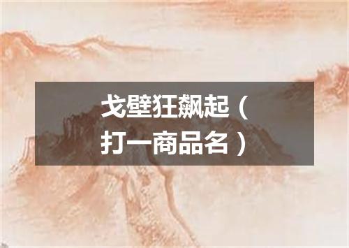戈壁狂飙起（打一商品名）