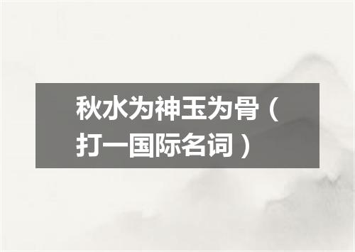 秋水为神玉为骨（打一国际名词）