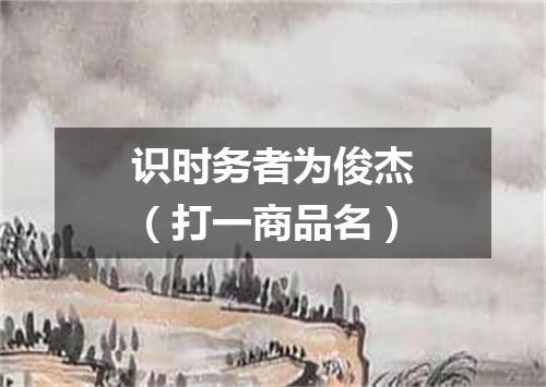 识时务者为俊杰（打一商品名）