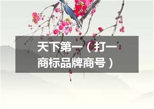 天下第一（打一商标品牌商号）