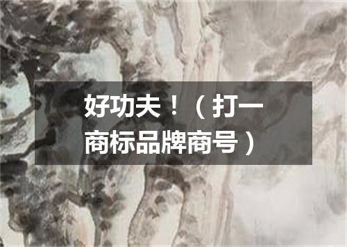 好功夫！（打一商标品牌商号）