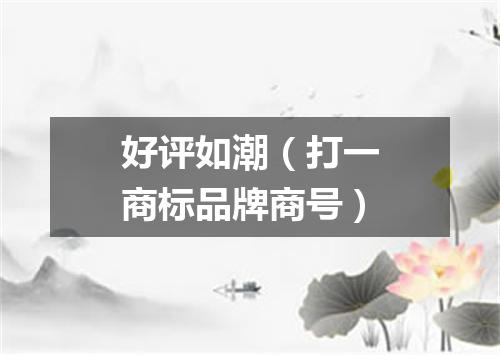 好评如潮（打一商标品牌商号）