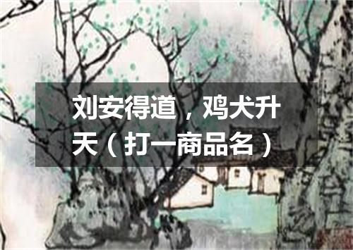 刘安得道，鸡犬升天（打一商品名）