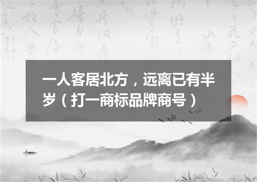 一人客居北方，远离已有半岁（打一商标品牌商号）