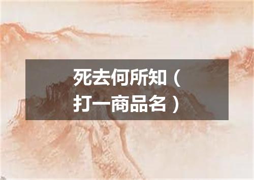 死去何所知（打一商品名）