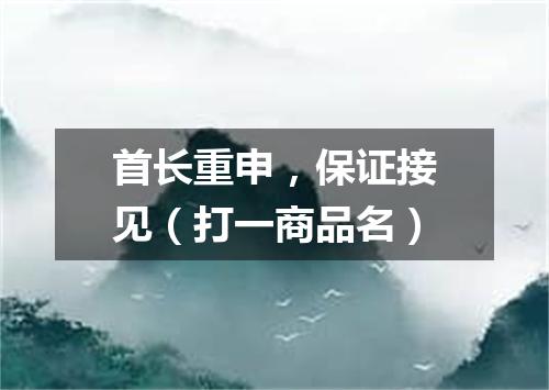 首长重申，保证接见（打一商品名）