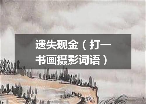 遗失现金（打一书画摄影词语）