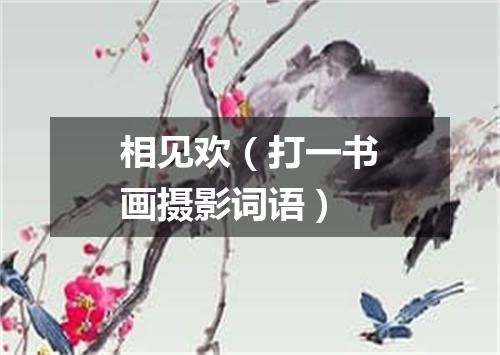 相见欢（打一书画摄影词语）