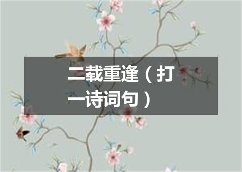 二载重逢（打一诗词句）
