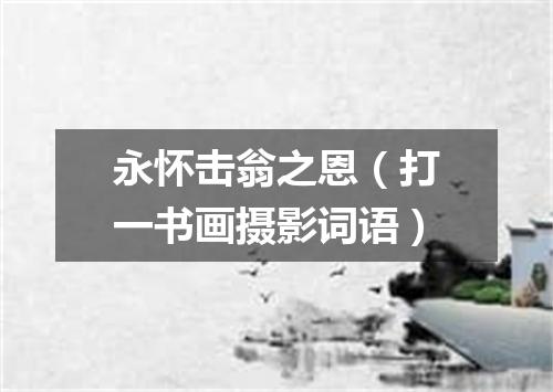 永怀击翁之恩（打一书画摄影词语）