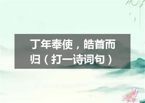 丁年奉使，皓首而归（打一诗词句）