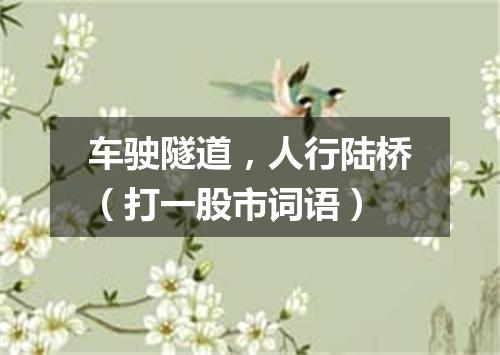 车驶隧道，人行陆桥（打一股市词语）