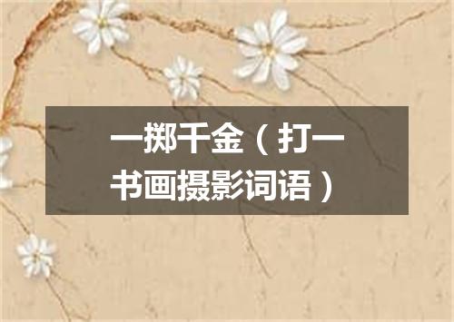 一掷千金（打一书画摄影词语）
